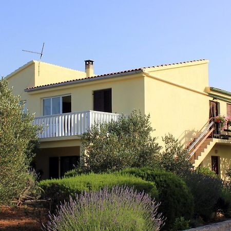 Apartment Zaglav 878A Dış mekan fotoğraf
