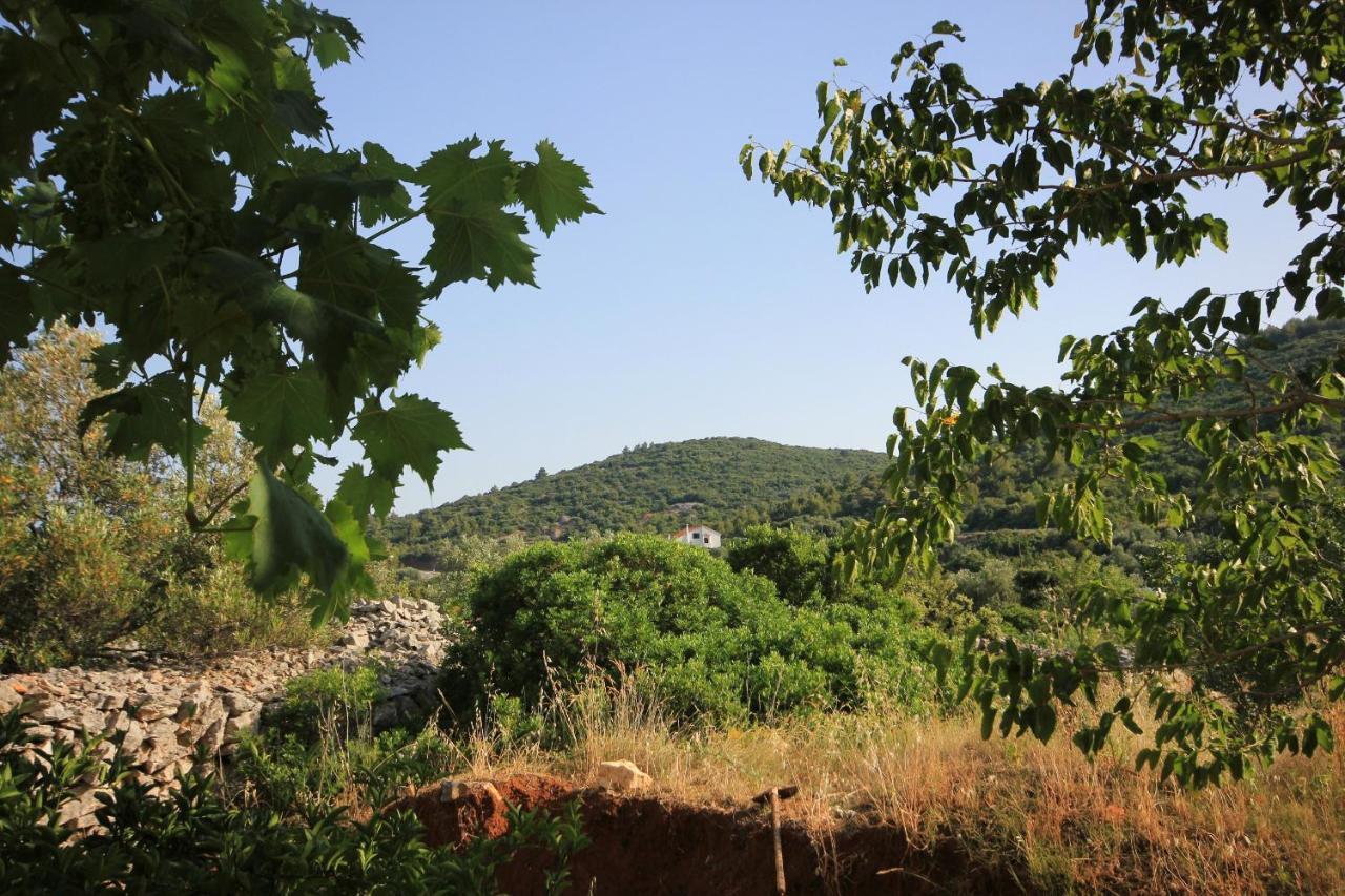 Apartment Zaglav 878A Dış mekan fotoğraf